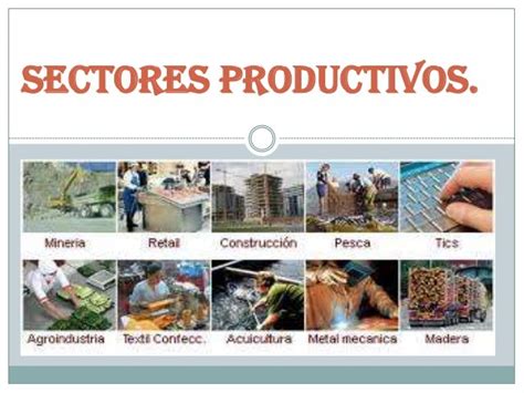 sectores productivos